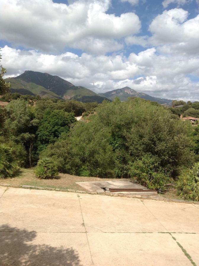 Charmant Appartement 2 Pieces Eccica-Suarella (Corsica) Exterior foto